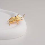 Beetle brooch displayed on neutral background