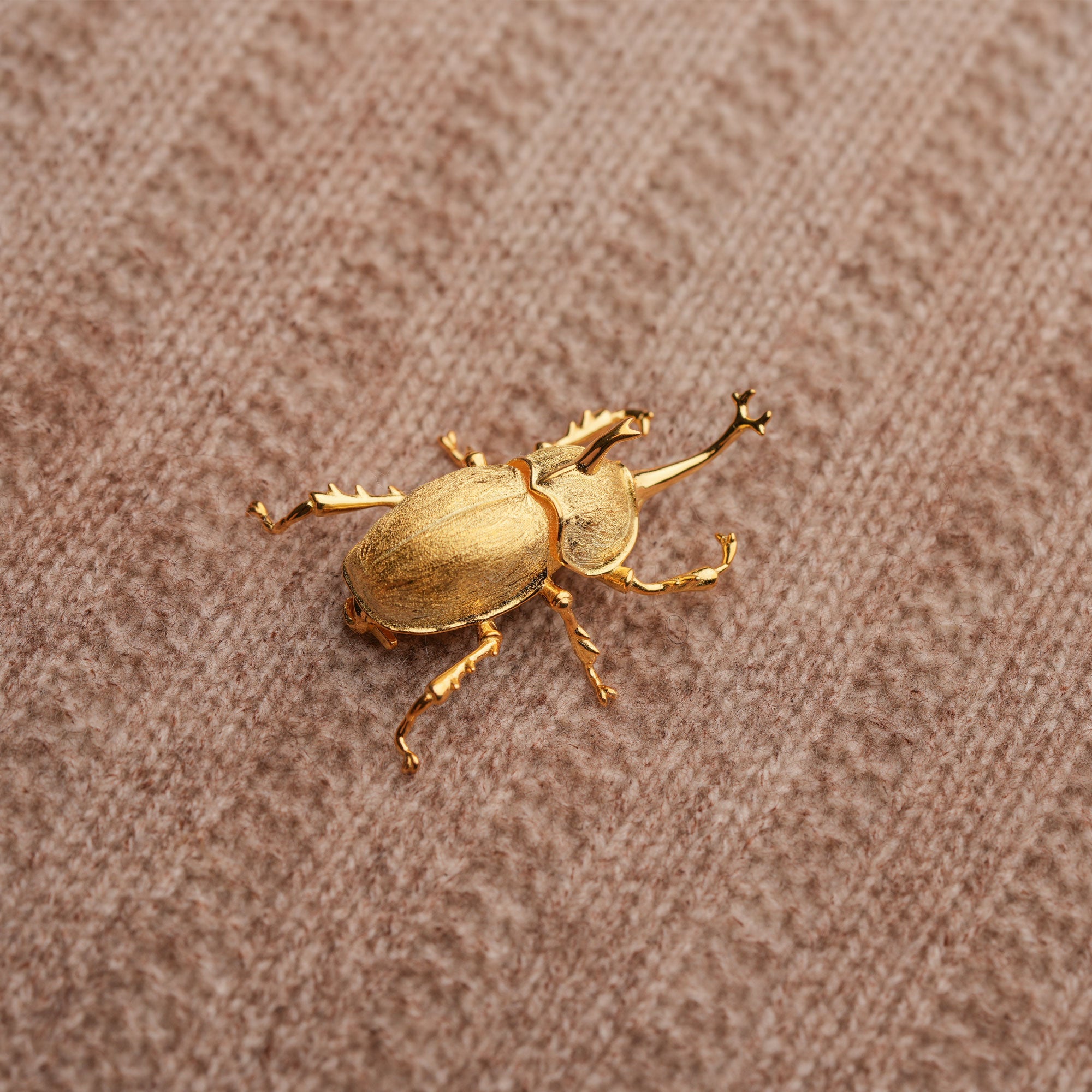 Bug lover gift brooch with insect design