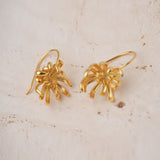Elegant chrysanthemum ear drops