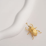 Rhinoceros beetle pin product view