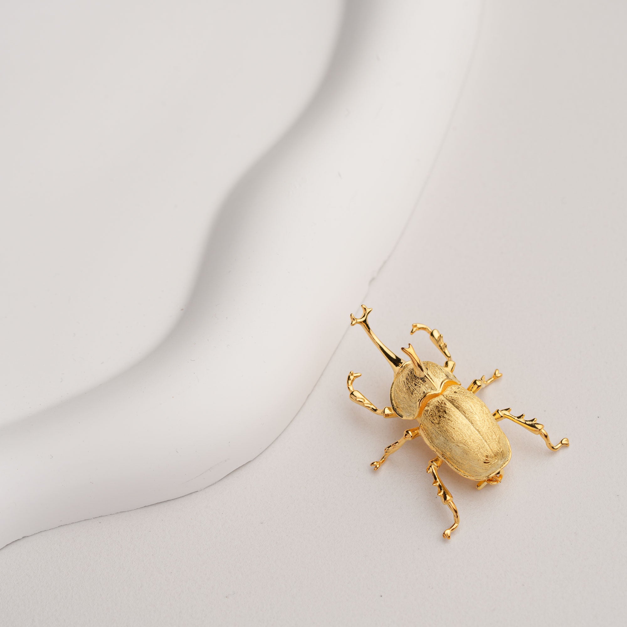 Rhinoceros beetle pin product view