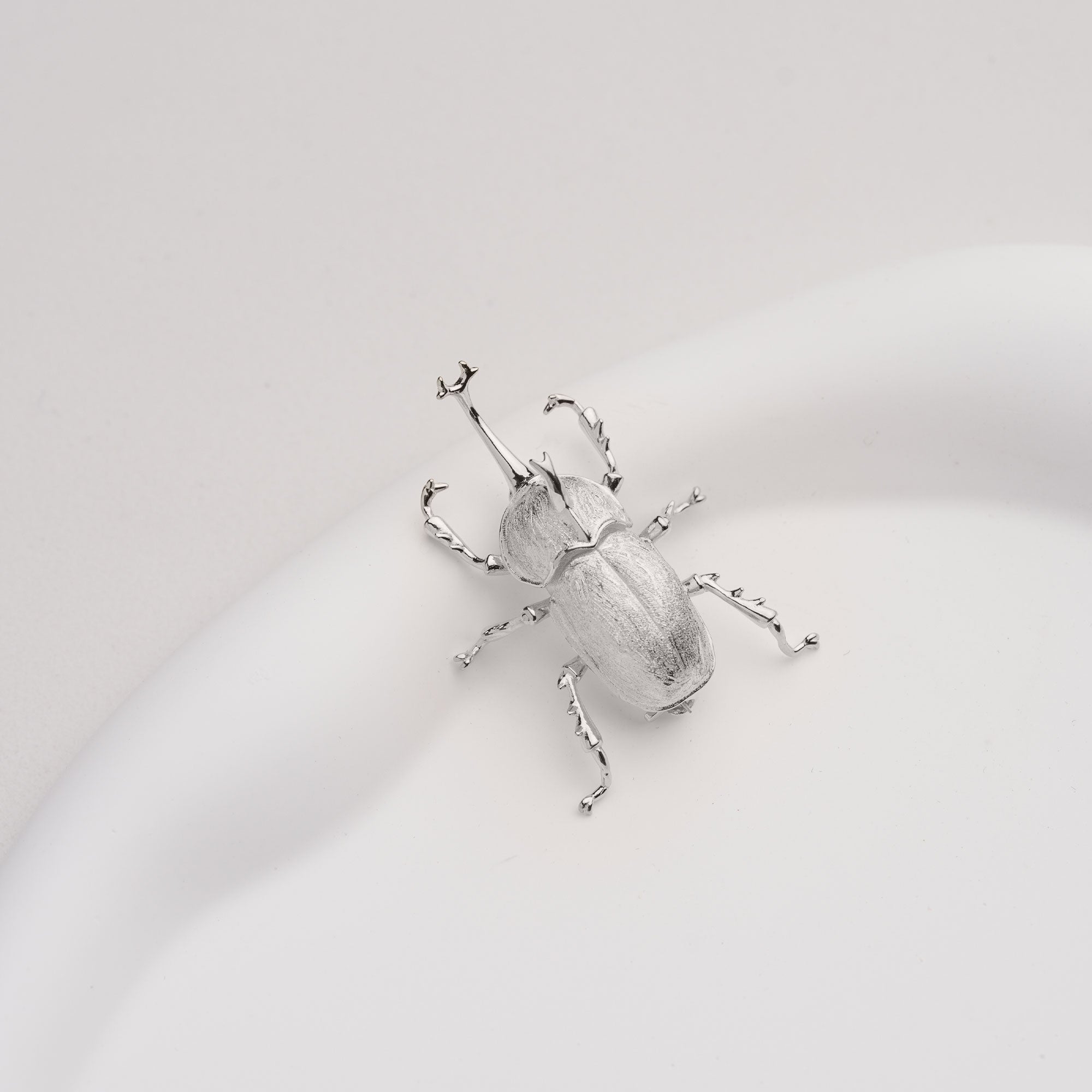 Silver bug brooch close-up