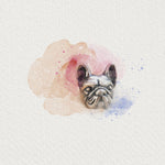 Detailed view of French bulldog studs