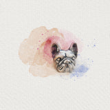 Detailed view of French bulldog studs