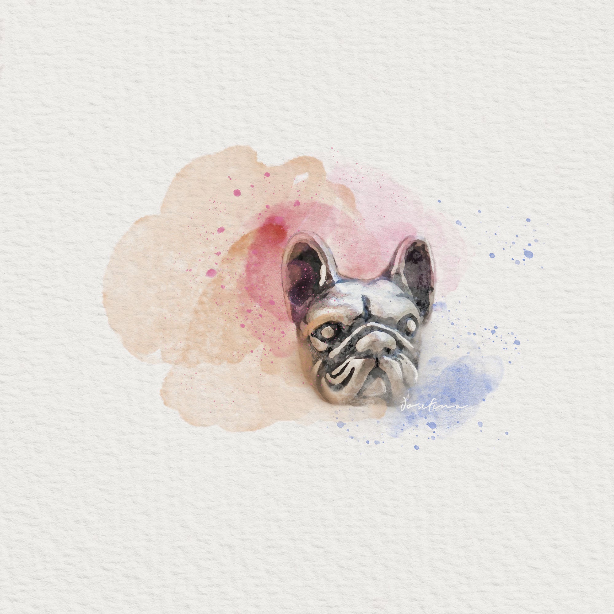 Detailed view of French bulldog studs