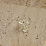 Detailed view of iris floral ring