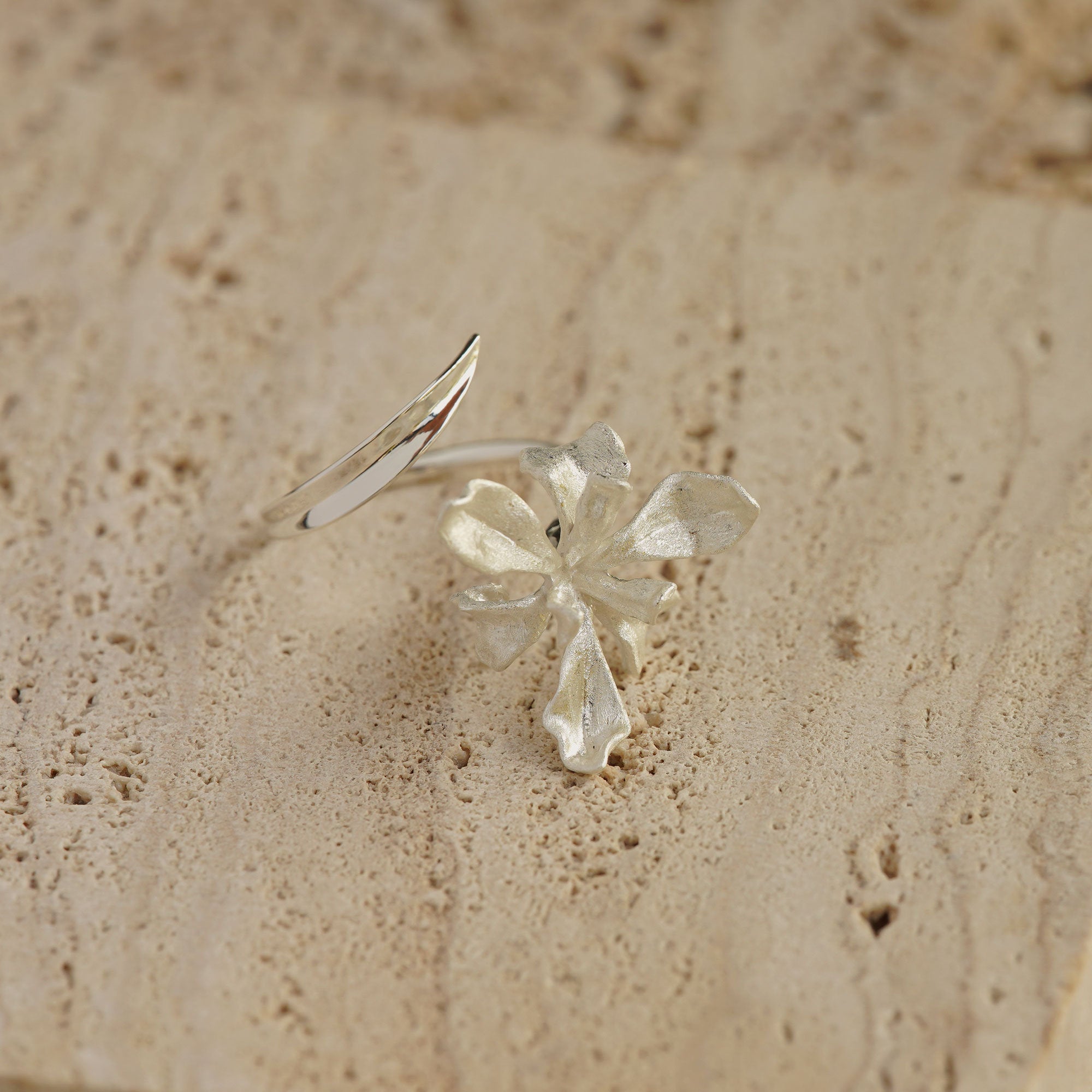 Detailed view of iris floral ring