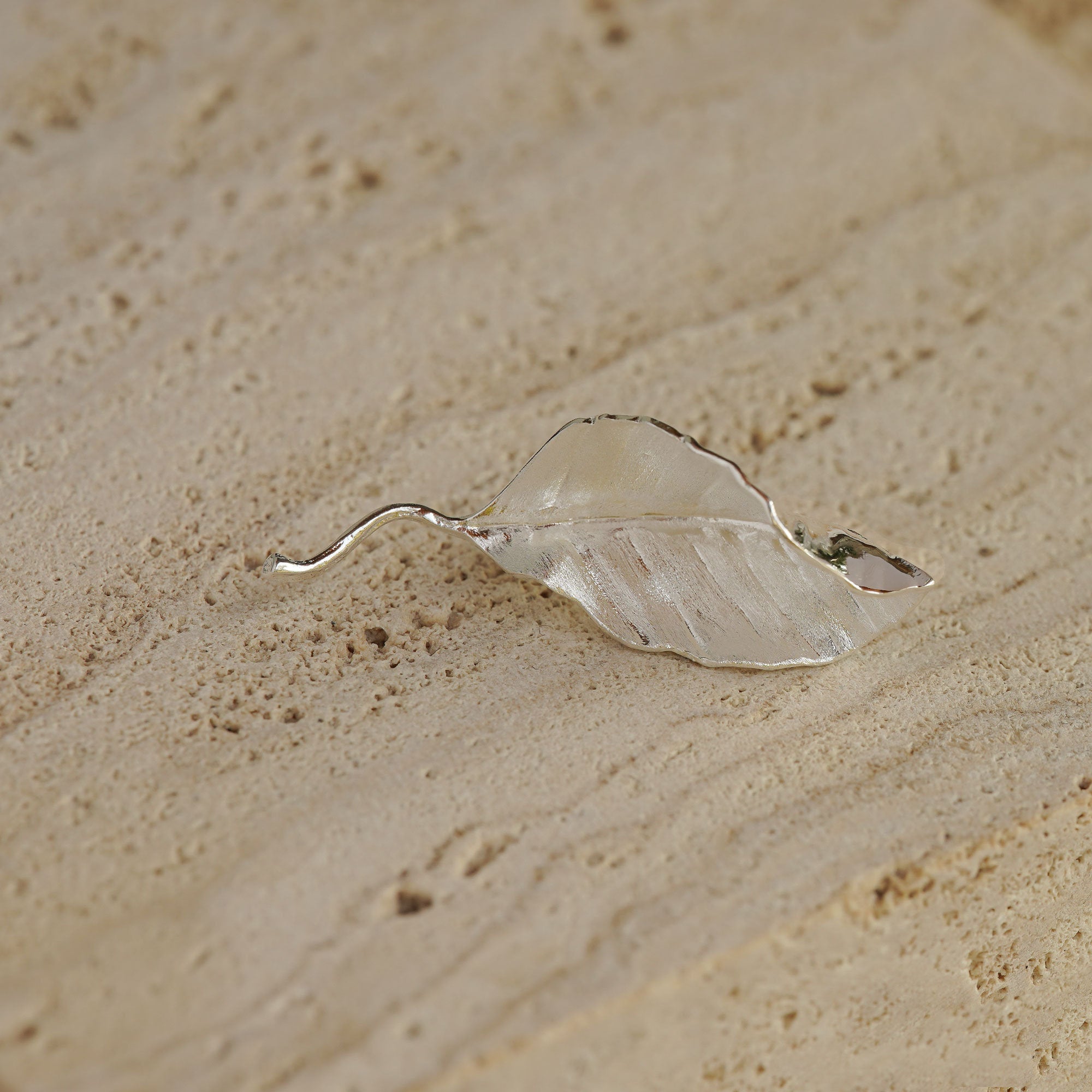 Detailed view of leaf brooch