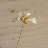Osmanthus brooch displayed as botanical pin jewelry