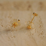 Pear blossom earrings on neutral product background